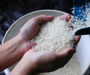 Rivero asegura Gobierno adoptará medidas para proteger productores de arroz