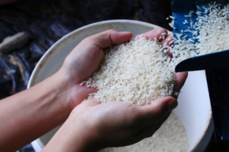 Rivero asegura Gobierno adoptará medidas para proteger productores de arroz tras eliminar protección