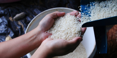 Rivero asegura Gobierno adoptará medidas para proteger productores de arroz tras eliminar protección