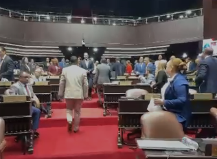 Diputados abandonan sesión en solidaridad con Millys Martínez