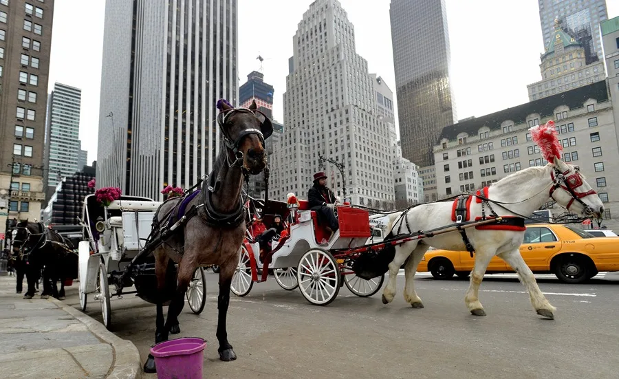 Nueva York busca prohibir los carruajes tirados por caballos a partir de 2028