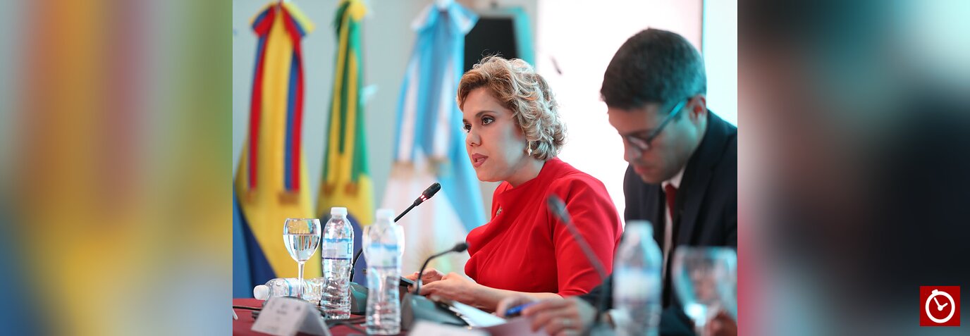 María Elena Vásquez preside sesión de competencia e informalidad en foro de la OCDE en Buenos Aires