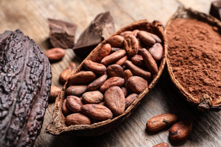 Festival del Chocolate Dominicano celebrará su sexta edición en Ágora Santiago Center