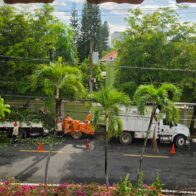 Residentes de Los Cacicazgos denuncian ruido y polvo por trituración de ramas