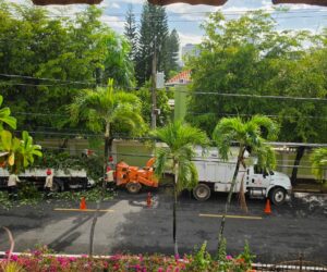 Residentes de Los Cacicazgos denuncian ruido y polvo por trituración de ramas