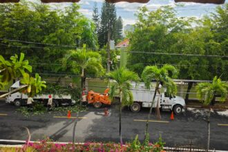 Residentes de Los Cacicazgos denuncian ruido y polvo por trituración de ramas