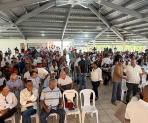PRM en Nagua prepara acto de reconocimiento a José Ignacio Paliza