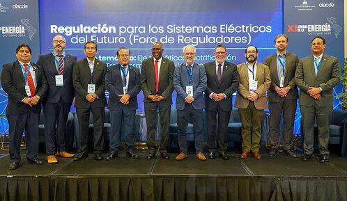 Superintendente de Electricidad plantea adaptar regulación ante crecimiento de la demanda energética