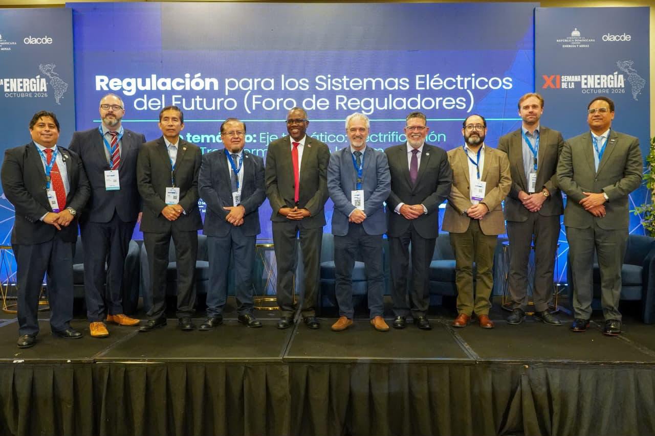 Superintendente de Electricidad plantea adaptar regulación ante crecimiento de la demanda energética