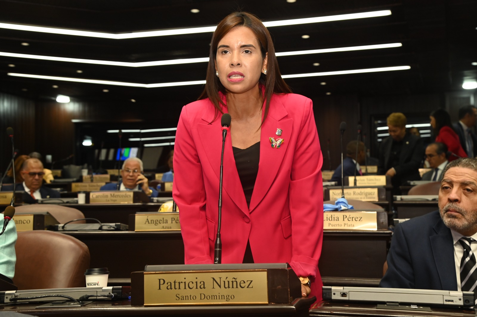 Diputada Patricia Núñez destaca inversiones en Santo Domingo Norte y solicita centros regionales contra el cáncer