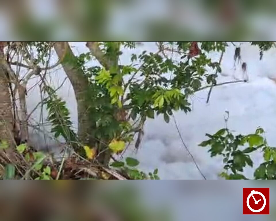 Arroceros denuncian aparición de espuma blanca en río Masacre y temen daños a cultivos
