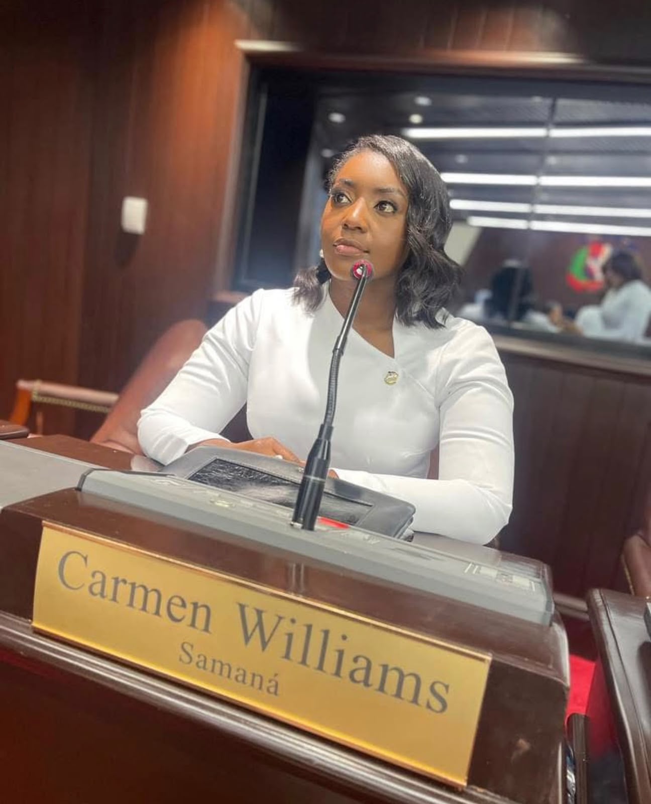 Diputada Carmen Williams condena arresto de Millys Martínez y pide respeto a la inmunidad parlamentaria