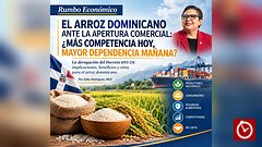 El arroz dominicano ante la apertura comercial: ¿más competencia hoy, mayor dependencia mañana?