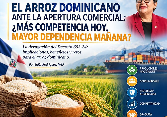 El arroz dominicano ante la apertura comercial: ¿más competencia hoy, mayor dependencia mañana?