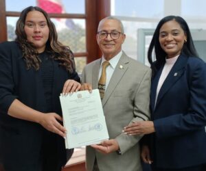Diputados proponen plataforma digital para facilitar la participación ciudadana en República Dominicana