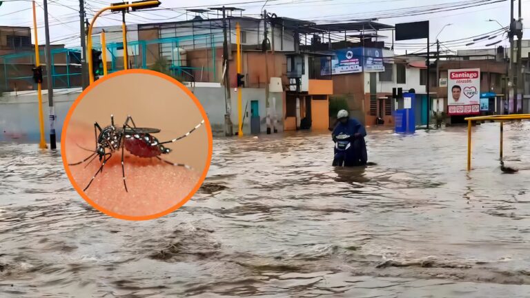 Dengue en Piura supera los 13,000 casos y fuertes lluvias aumentan preocupación por nuevos contagios