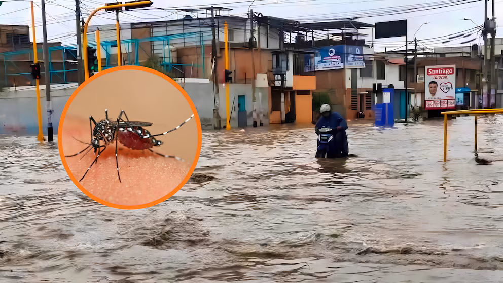 Dengue en Piura supera los 13,000 casos y fuertes lluvias aumentan preocupación por nuevos contagios