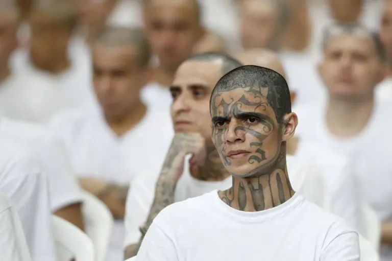 image 61 | Noticias de hoy en De Último Minuto