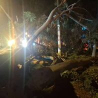 Árbol cae sobre clase de zumba en Guatemala y deja 17 personas heridas