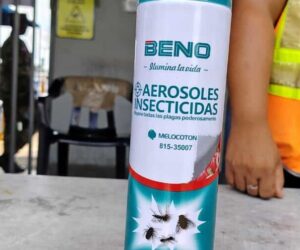 Decomisan 66 toneladas de insecticidas que intentaban ingresar de forma irregular por Haina
